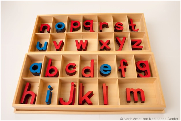 Hareketli Alfabe (Küçük) / Movable Alphabet (lowercase) – görsel 3